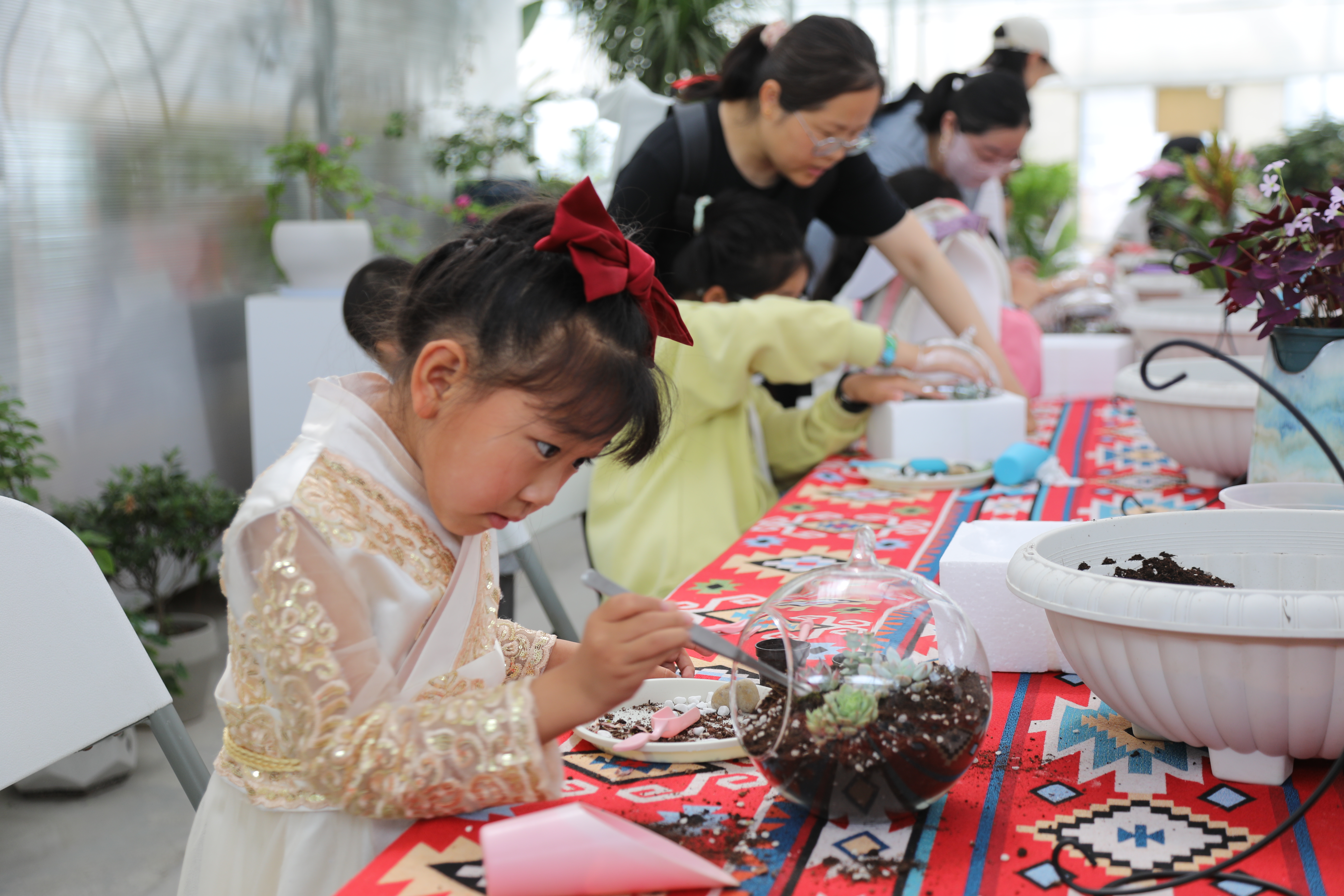 202505201101421747710102862470.jpg 微信圖片_20250519173115.jpg